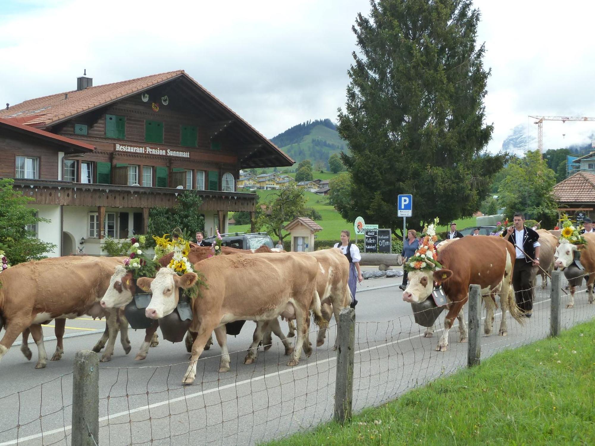 Hotel Restaurant Sunnmatt Aeschi Bei Spiez Exterior foto